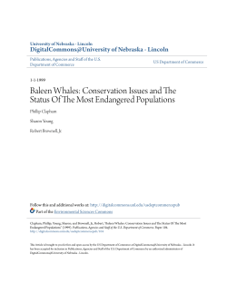 Baleen Whales: Conservation Issues and The Status Of The Most