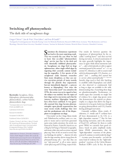 Switching off photosynthesis