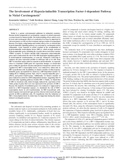 The Involvement of Hypoxia-inducible Transcription Factor