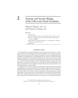 2 Anatomy and Vascular Biology of the Cells in the Portal Circulation