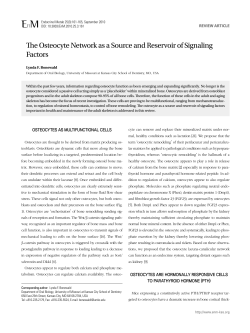 The Osteocyte Network as a Source and Reservoir of Signaling