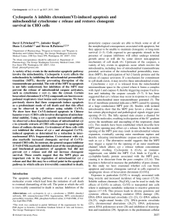 Cyclosporin A inhibits chromium(VI)-induced