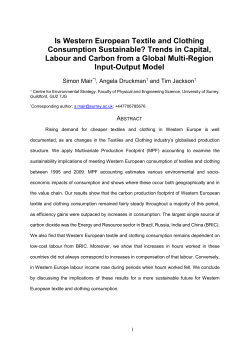 Is Western European Textile and Clothing Consumption Sustainable
