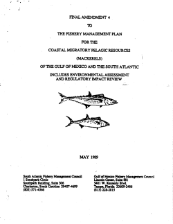 Coastal Migratory Pelagics Amendment 4