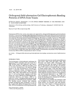 Orthogonal-field-alternation gel electrophoresis banding patterns of