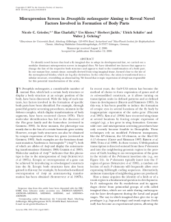 Misexpression Screen in Drosophila melanogaster Aiming to Reveal