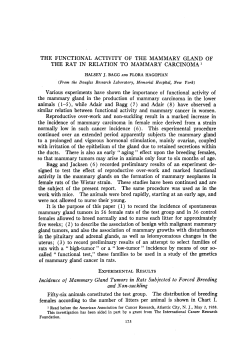 THE FUNCTIONAL ACTIVITY OF THE MAMMARY GLAND OF THE