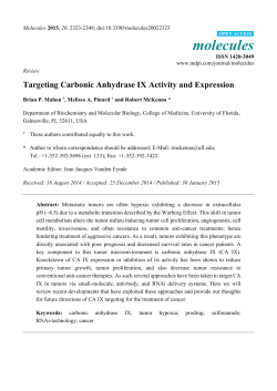 Targeting Carbonic Anhydrase IX Activity and Expression