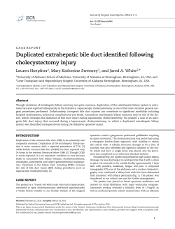 Duplicated extrahepatic bile duct identified