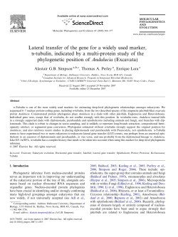 Lateral transfer of the gene for a widely used marker, a
