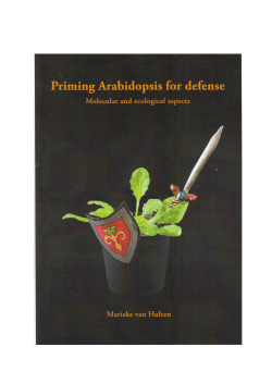 CHAPTER 4 Costs and benefits of priming for