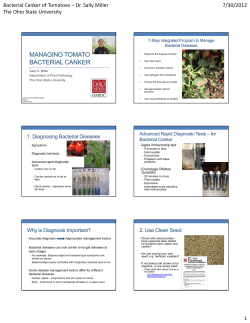 MANAGING TOMATO BACTERIAL CANKER