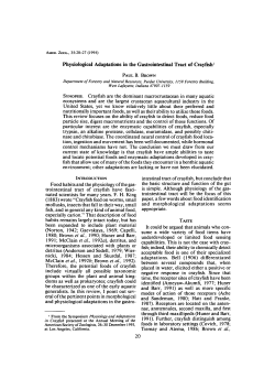 Physiological Adaptations in the Gastrointestinal Tract of Crayfish1