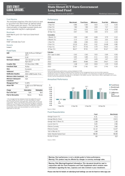 Fact Sheet:State Street IUT Euro Government Long Bond Fund