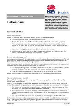 Babesiosis Factsheet