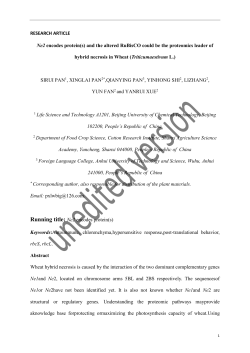 and the altered RuBisCO could be the proteomics leader of hybrid