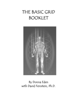 the basic grid booklet - The Energy Medicine Institute