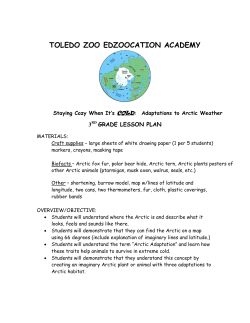 Staying Cozy When Its Cold