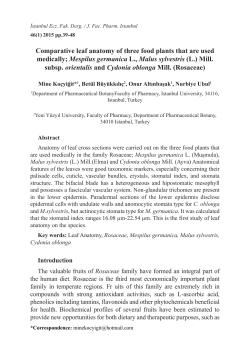 Comparative leaf anatomy of three food plants that are used medically