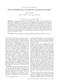Character Displacement in Stag Beetles (Coleoptera: Lucanidae)