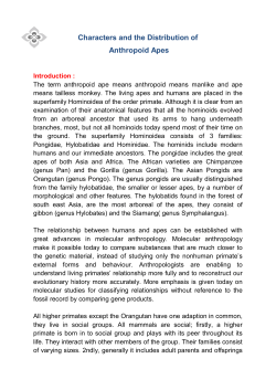 Characters and the Distribution of Anthropoid Apes