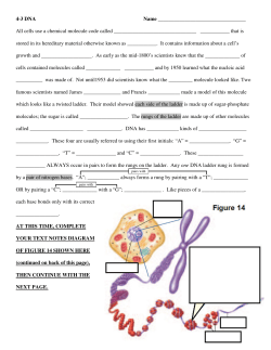 4-3 / DNA Text Notes