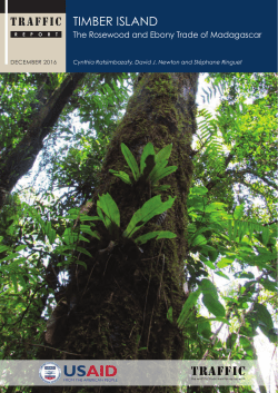 The Rosewood and Ebony Trade of Madagascar