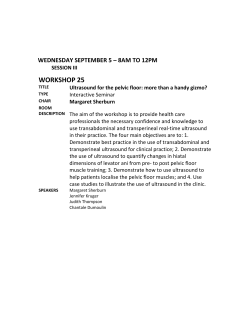 Margaret Sherburn Syllabus - IUGA