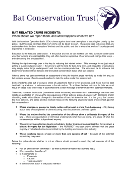 Bat-related Crime Incidents