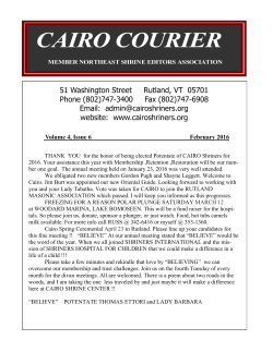 cairo courier cairo courier