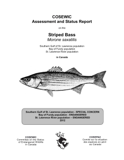 COSEWIC assessment and status report on the Striped Bass
