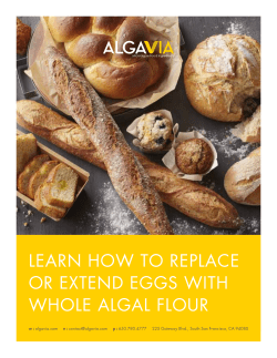 full egg replacement tips