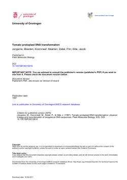 Tomato protoplast DNA transformation