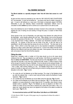 Fabrication and fitting of a Batslate in a Plain tile roof