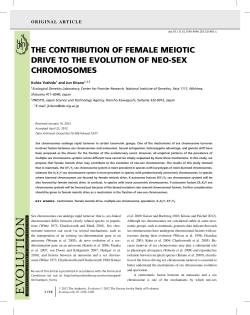 the contribution of female meiotic drive to the