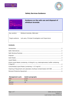 Health and Safety Services