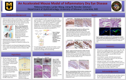 An Accelerated Mouse Model of Inflammatory Dry Eye Disease