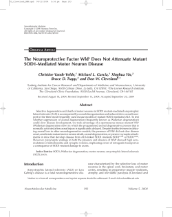 The Neuroprotective Factor Wlds Does Not Attenuate Mutant SOD1