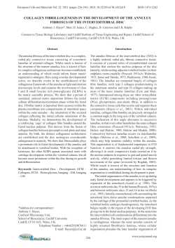 collagen fibrillogenesis in the development of the