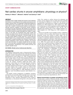 Net cardiac shunts in anuran amphibians: physiology or physics?