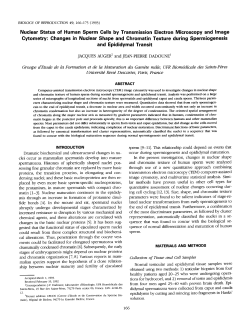 Nuclear Status of Human Sperm Cells by Transmission Electron