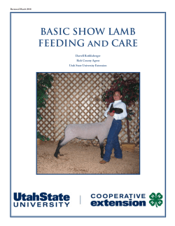 Basic Show Lamb Feeding and Care