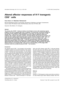 Altered effector responses of HY transgenic CD8 cells
