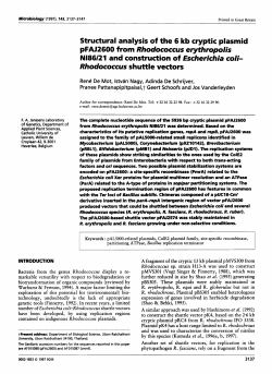 Structural analysis of the 6 kb cryptic plasmid
