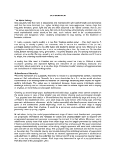 DOG BEHAVIOR The Alpha Fallacy