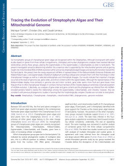 Tracing the Evolution of Streptophyte Algae and Their Mitochondrial