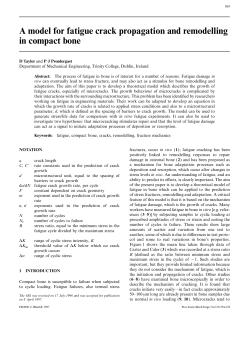 A model of fatigue crack propagation and repair in compact bone