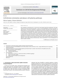 Cell division orientation and planar cell polarity pathways (PDF