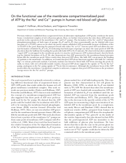 On the functional use of the membrane compartmentalized pool of