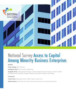 National Survey Access to Capital Among Minority Business